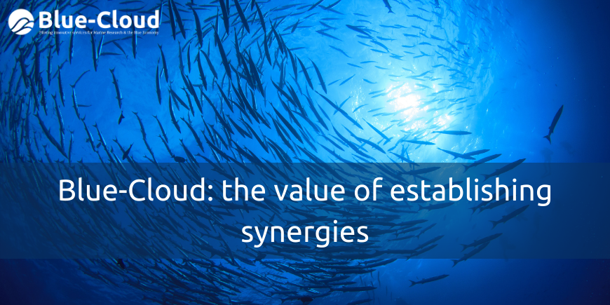 blue cloud synergies banner