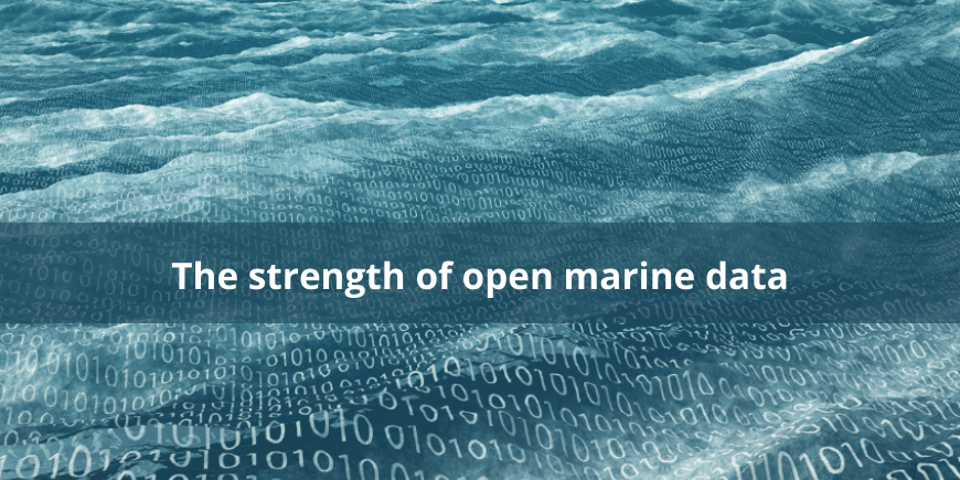 The strength of open marine data banner image
