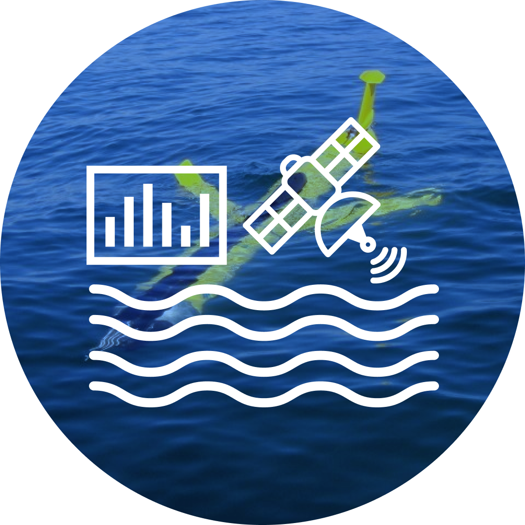 Integration of coastal ocean observations along Europe