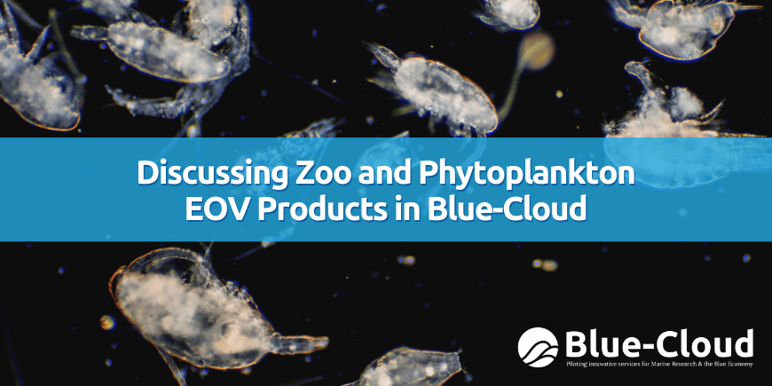 zoo_phytoplankton_eov_products_blue-cloud