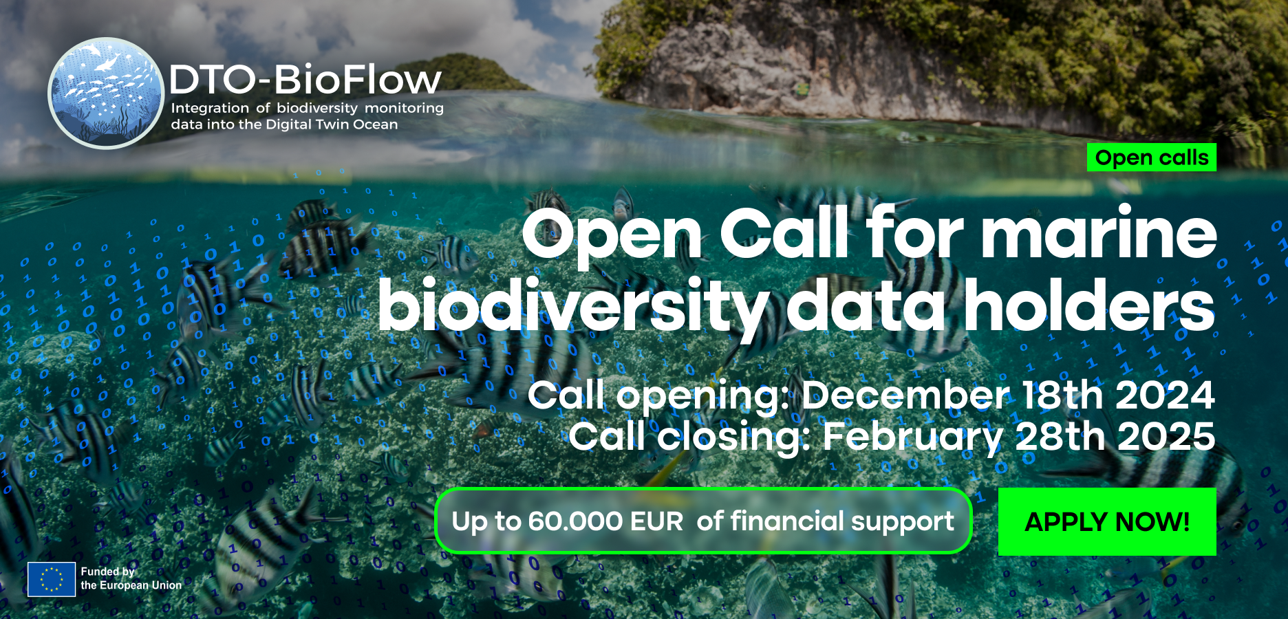 second open call dto bioflow