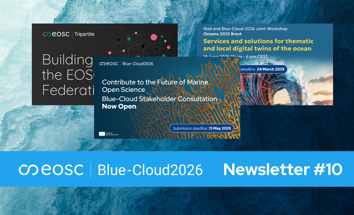 Newsletter 10