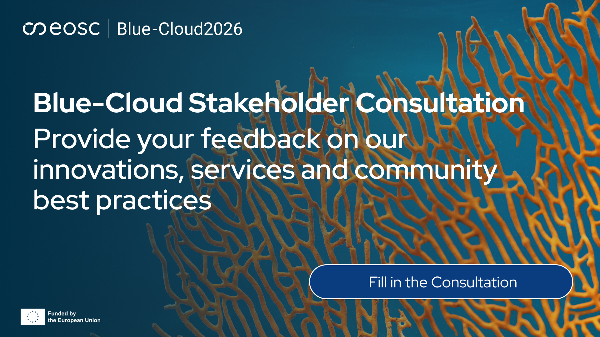 Blue-Cloud Stakeholder Consultation banner