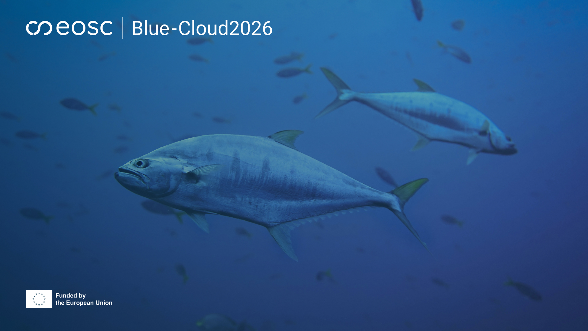 Global tuna atlas update banner