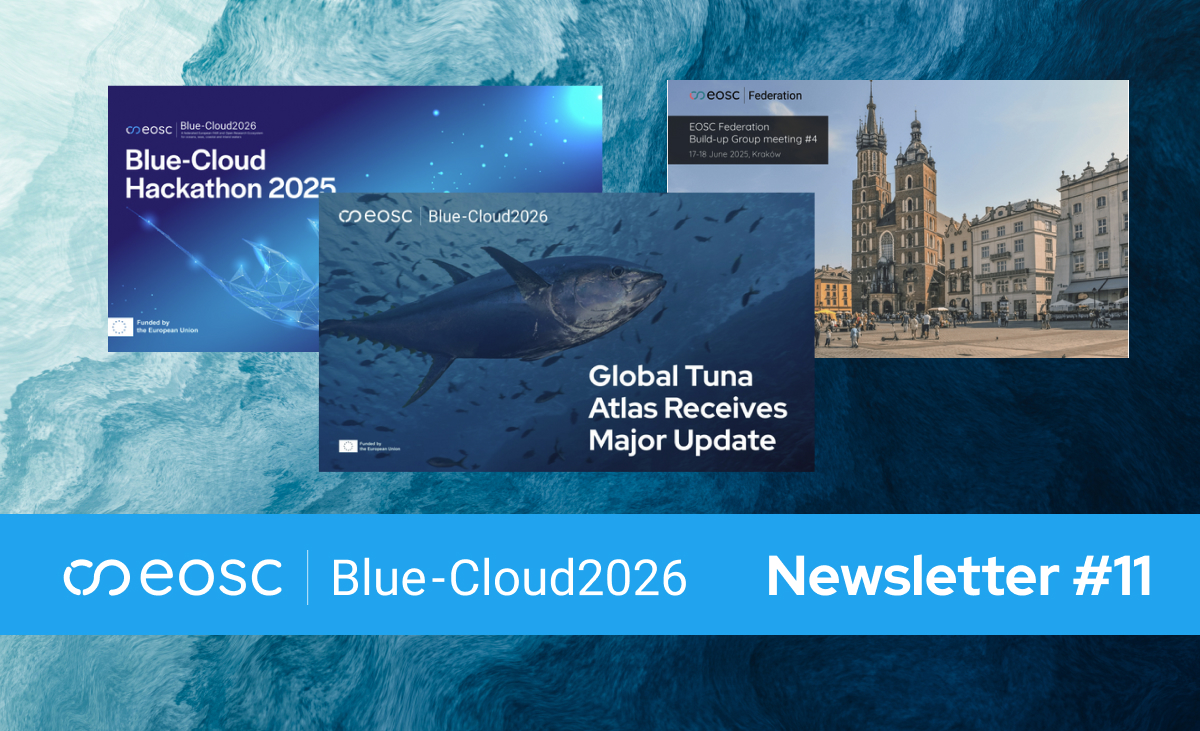 newsletter 11 thumbnail