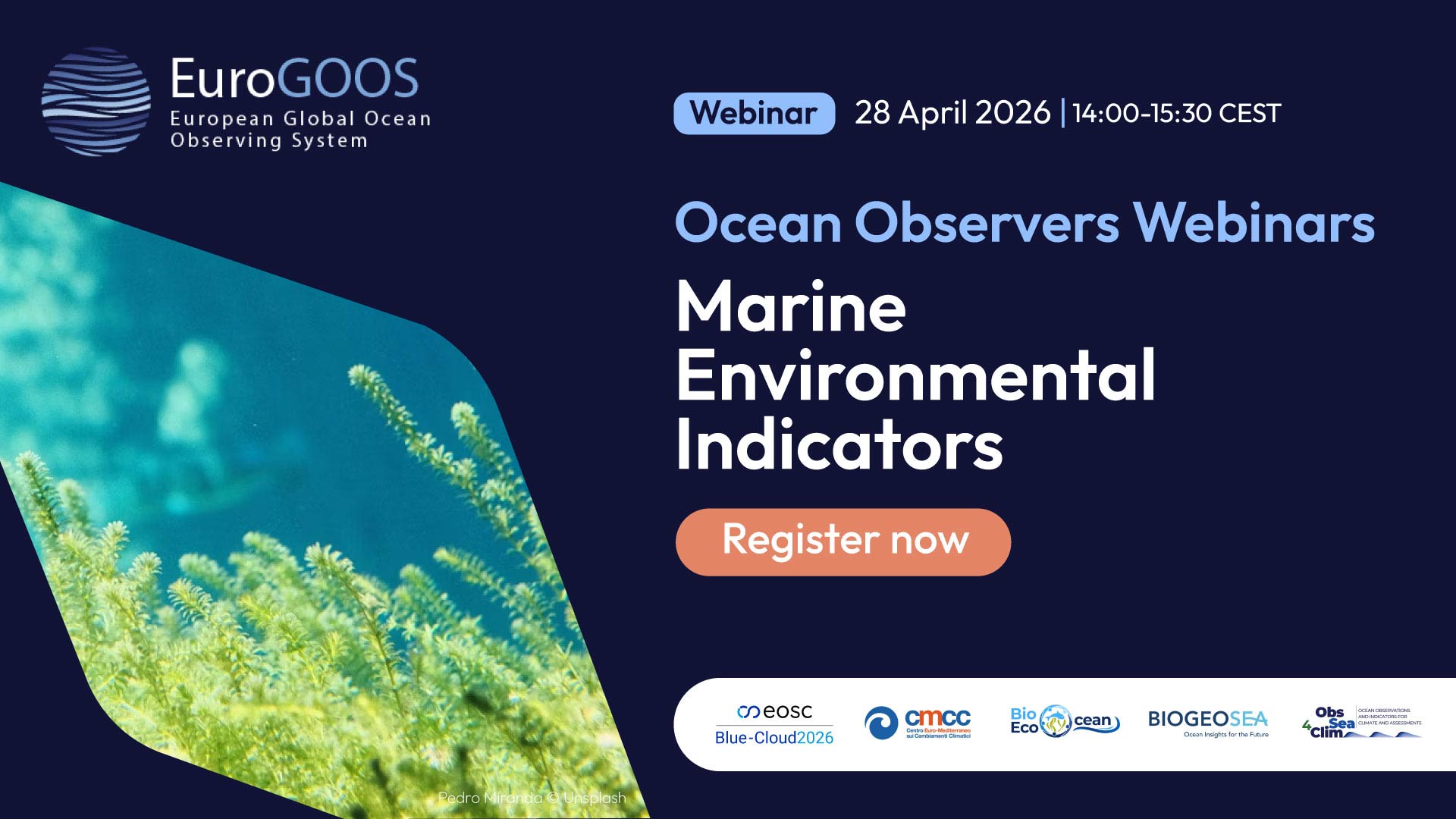 Blue-Cloud 2026 Ocean Observers Webinars - Marine Environmental ...