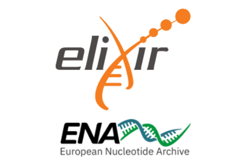 elixir ena