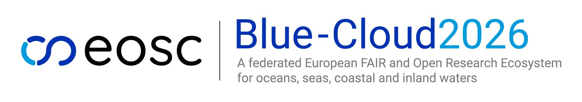 blue cloud logo